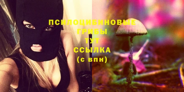 стафф Нефтегорск